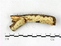 登錄號:F0003149藏品圖，第1張