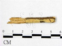 登錄號:F0003152藏品圖，第1張