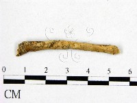 登錄號:F0003153藏品圖，第1張
