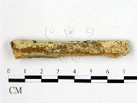 登錄號:F0003154藏品圖，第1張