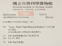 登錄號:F0003155藏品圖，第2張