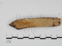 登錄號:F0003155藏品圖，第3張