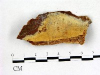 登錄號:F0003156藏品圖，第1張