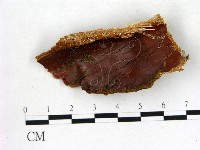 登錄號:F0003156藏品圖，第3張