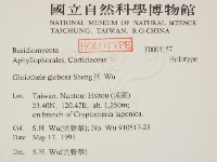 登錄號:F0003157藏品圖，第2張