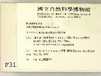 登錄號:F0003159藏品圖，第2張