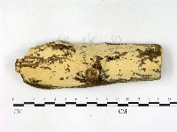 登錄號:F0003159藏品圖，第1張