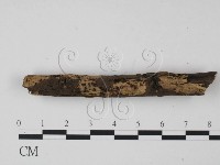 登錄號:F0003162藏品圖，第1張