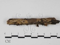 登錄號:F0003162藏品圖，第3張