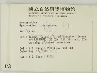 登錄號:F0003163藏品圖，第2張