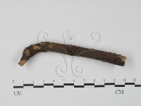 登錄號:F0003163藏品圖，第1張