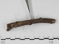 登錄號:F0003163藏品圖，第3張