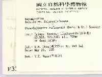 登錄號:F0003164藏品圖，第2張