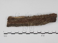 登錄號:F0003165藏品圖，第1張