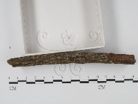 登錄號:F0003165藏品圖，第3張