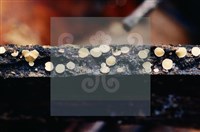 登錄號:F0003165藏品圖，第6張