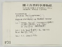 登錄號:F0003166藏品圖，第2張