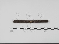 登錄號:F0003166藏品圖，第1張