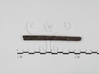 登錄號:F0003166藏品圖，第3張