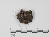 登錄號:F0003167藏品圖，第1張