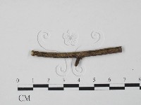 登錄號:F0003168藏品圖，第1張