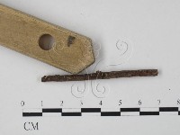 登錄號:F0003168藏品圖，第3張