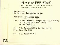 登錄號:F0003169藏品圖，第2張