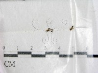 登錄號:F0003169藏品圖，第1張