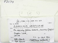 登錄號:F0003170藏品圖，第2張