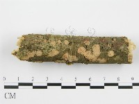 登錄號:F0003170藏品圖，第1張