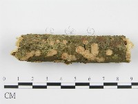 登錄號:F0003170藏品圖，第8張