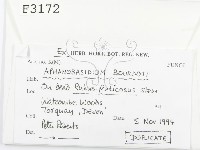 登錄號:F0003172藏品圖，第2張