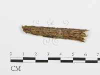 登錄號:F0003172藏品圖，第1張