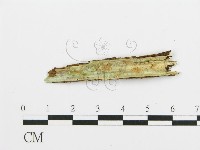 登錄號:F0003172藏品圖，第3張