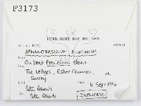 登錄號:F0003173藏品圖，第2張