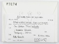 登錄號:F0003174藏品圖，第2張