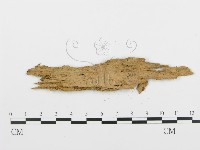 登錄號:F0003174藏品圖，第3張