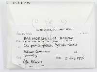 登錄號:F0003175藏品圖，第2張