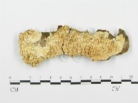 登錄號:F0003175藏品圖，第3張