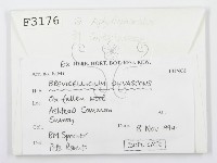 登錄號:F0003176藏品圖，第2張