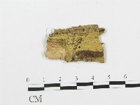 登錄號:F0003176藏品圖，第1張