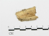 登錄號:F0003176藏品圖，第3張