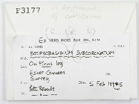 登錄號:F0003177藏品圖，第2張