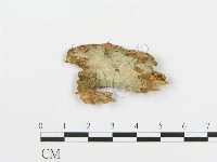 登錄號:F0003177藏品圖，第3張