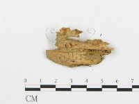 登錄號:F0003177藏品圖，第1張