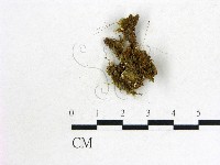 登錄號:F0003178藏品圖，第1張