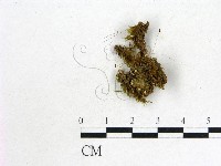 登錄號:F0003178藏品圖，第3張