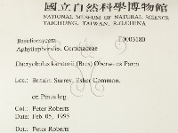登錄號:F0003180藏品圖，第2張