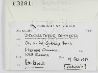 登錄號:F0003181藏品圖，第2張