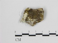 登錄號:F0003181藏品圖，第1張